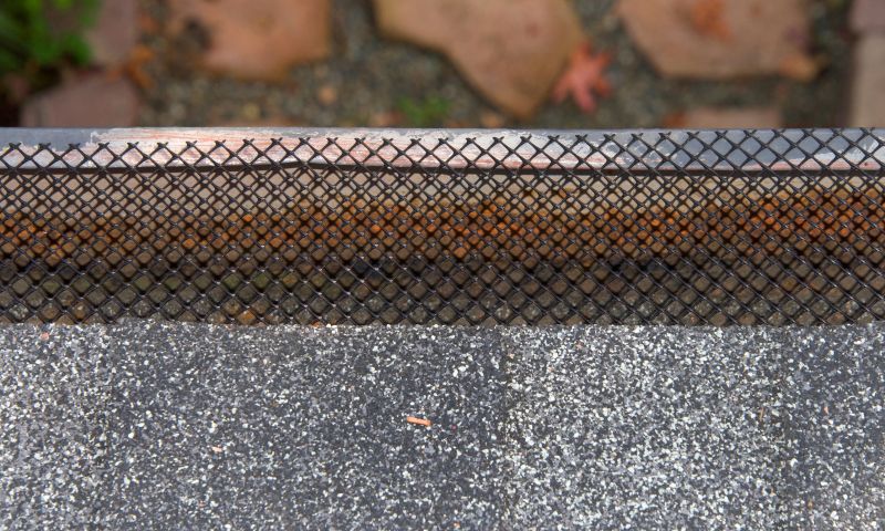 Gutter Guards Installation in Roseville, CA