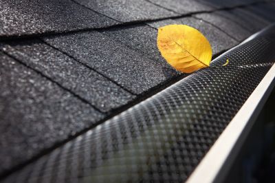Clogged Gutters Cause Flooding and Mold Growth