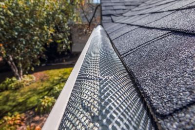 Get in Touch With a Professional That Can Install Covers on Your Gutters